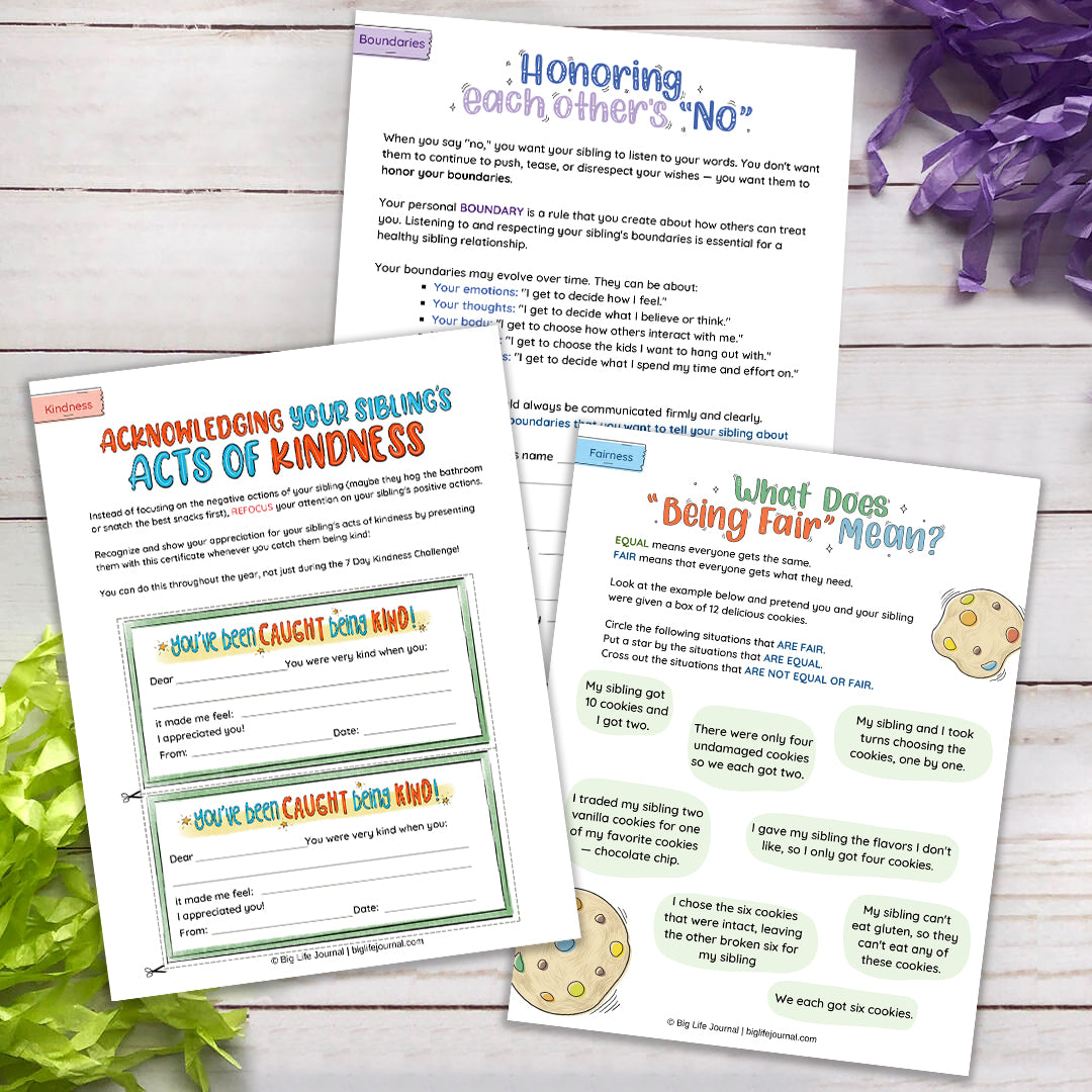 Sibling Kit PDF (ages 5-12) – Big Life Journal